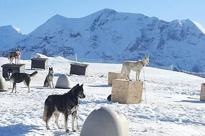 Apartment in der Nähe von Skipisten und...