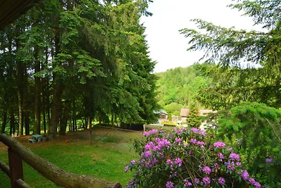 Budget Chalet in Houffalize Luxemburg mit eig...