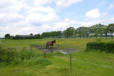 Vakantiehuis met uitzicht over de weilanden