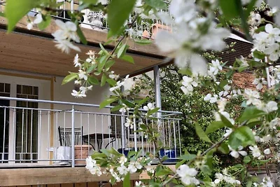 Appartamento per vacanze con 1 camera da...