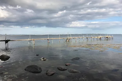 18 persone case ad Faaborg