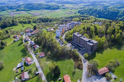 Appartement Sandra im Bayerischen Wald mit...