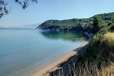 Dintorni (estate) (1-5 km) Dintorni (estate) (1-5 km)