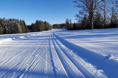 Appartement Michaela in Freyung mit Pool