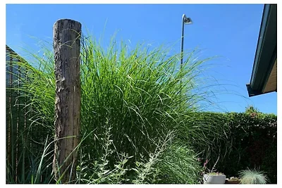 Bungalow in Zoutelande mit Schwimmbecken