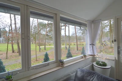 Abgeschiedene Ferienwohnung in dichtem Wald