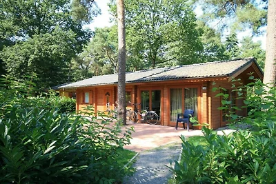 Ferienhaus Erholungsurlaub Lochem