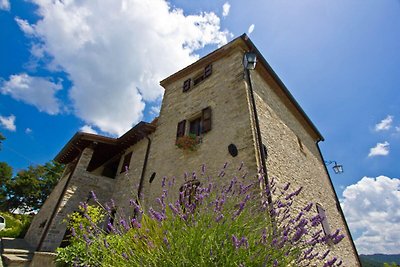 Wohnung in Apecchio mit Gemeinschaftspool