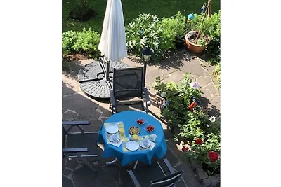 Braun mit Schlossblick