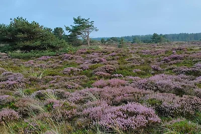 Ruhiger Ruckzug in Romo -- By Traum...