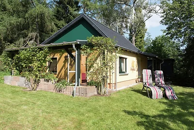 Wohnung in Sachsen mit Terrasse