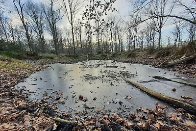 Strandschonheit in Hasmark -- By Traum...
