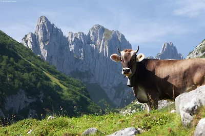 Appartamento vicino agli impianti di...