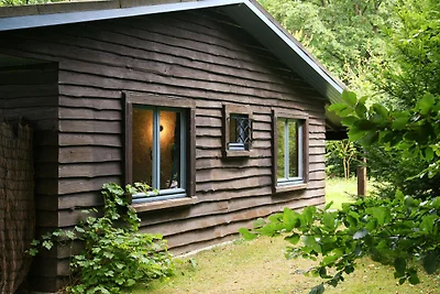 Chalet moderno a Humain per famiglie