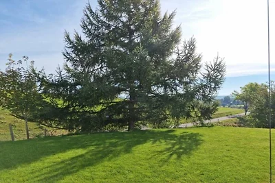 Schwarzwald Alpenblick