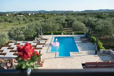 Villa eines Olivenhains in der Nähe von...