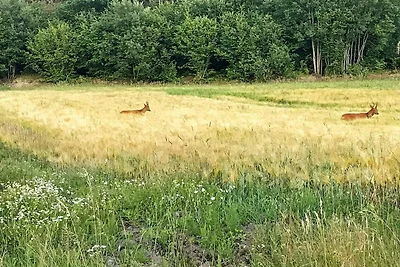 6 Personen Ferienhaus in STRÖMSTAD