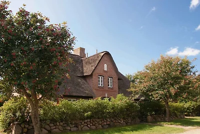 Ferienhaus Objekt 51 "Backbord"