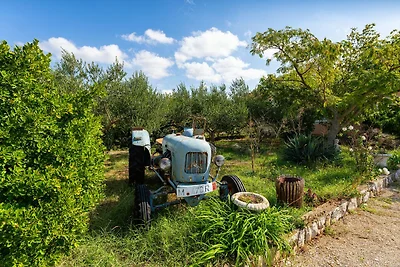 Luxuriöses Ferienhaus mit privatem...