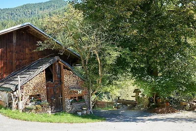 Wohnung in Hüttau nahe Ski Amadé Pisten