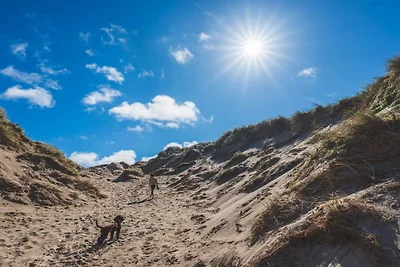 6 Personen Ferienhaus in Hvide Sande-By Traum