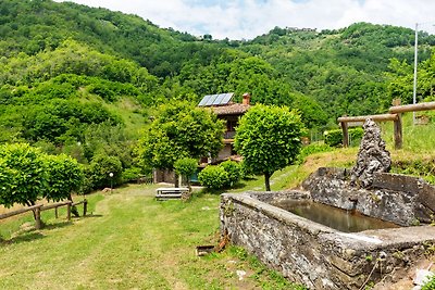 Nobles Bauernhaus in Fosciandora mit...