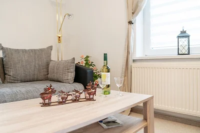 Ferienhaus mit Terrasse und umzäunten Garten