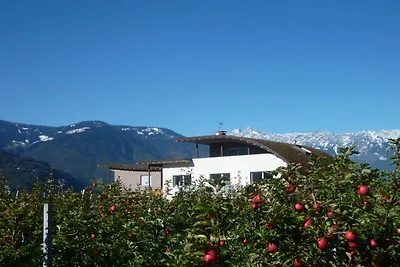 "Rosso" nella fattoria Sandweisen