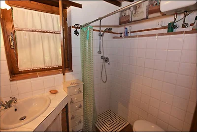 Ferienhaus in Seggiano mit Wald
