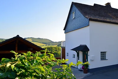 Ruhige Wohnung in Meschede im Sauerland mit...