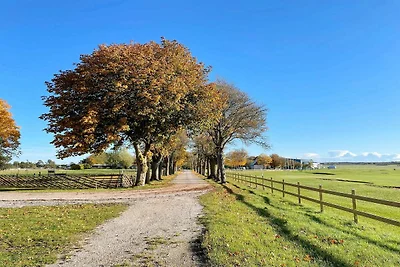 4 Sterne Ferienhaus in VISBY