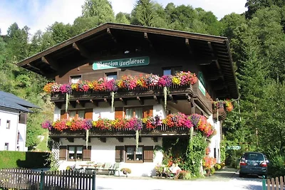 Studio in Saalbach-Hinterglemm nahe Skigebiet