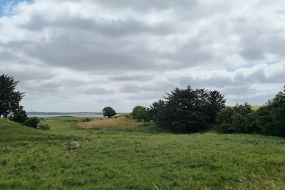 6 Personen Ferienhaus in Hurup Thy-By Traum