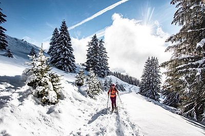 Wohnung in Chatel für 4 Personen