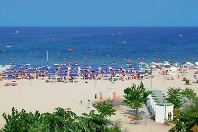 Alba Adriatica: Flucht am Pool