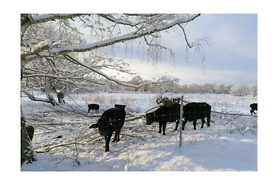 Wohnung mit 1 Schlafzimmer