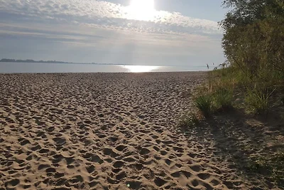 Anke Dralle Strandweg 11