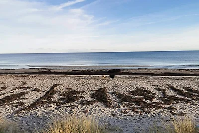 14 Personen Ferienhaus in Væggerløse-By Traum