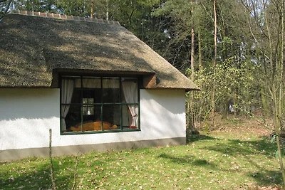 Romantico bungalow con lavastoviglie, immerso...