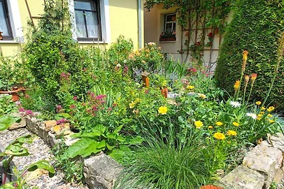 "Linde" en la Casa Kühn
