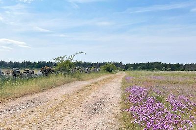 4 sterren vakantie huis in LÖTTORP