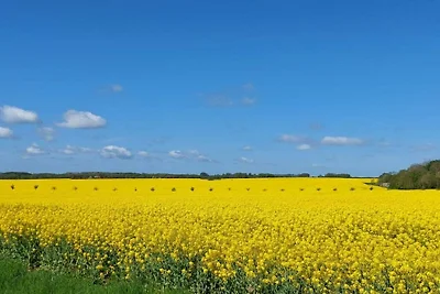 Reethaus Hannes auf Rügen