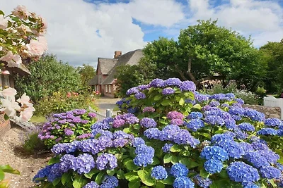 Ferienhaus mit 3 Schlafzimmer