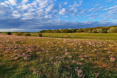 10 persoons vakantie huis in Dragør-By Traum