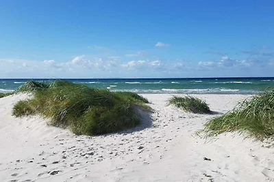 8 Personen Ferienhaus in Ebeltoft-By Traum