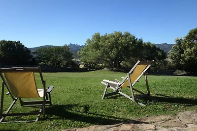 Villa in Olbia mit Schwimmbecken