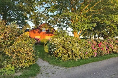 Ferienhaus mit 3 Schlafzimmer