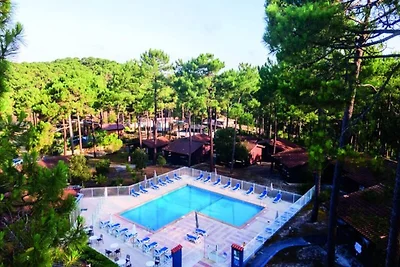 Wohnung im Pinienwald nahe Ozean