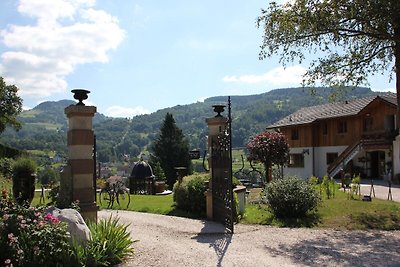 Gemütliches Chalet mit Geschirrspüler in den...