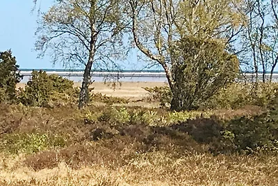 6 Personen Ferienhaus in Hadsund-By Traum